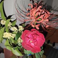 用户8410910624802头像