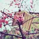 珏珏爱学习的个人资料头像