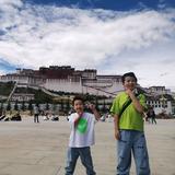 高级熊猫nzt头像