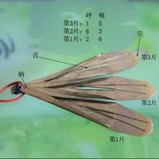 霜泉的个人资料头像