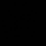 用户9096545429258的个人资料头像