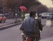 不会写代码_的个人资料头像