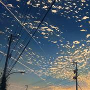 流水247的个人资料头像