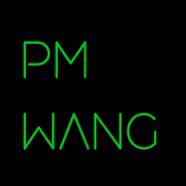 悠闲pmwang头像