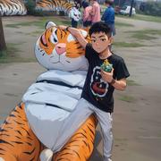 空指针446的个人资料头像