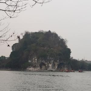 我是王咏梅呀头像