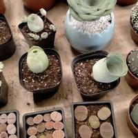 用户3032083463095头像