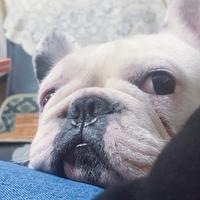 用户7530612776170头像