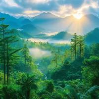 美菲纺织头像