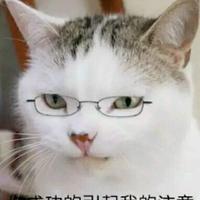 少年包青蛙805头像
