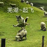 用户111886029559头像