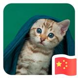 过客14365头像