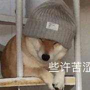 iloveYHW00979的个人资料头像