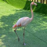 开车不生气头像