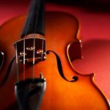 发财盖布里埃尔5X6头像