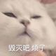 赵赵赵赵事者头像