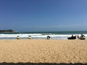 李二毛的个人资料头像