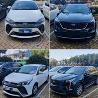 大狗熊爱开车头像