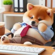 my_zhi的个人资料头像