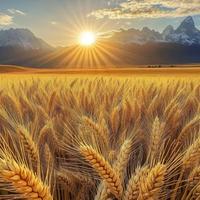 有为青年Lzf头像