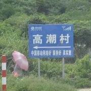 会飞的蜜蜂的个人资料头像