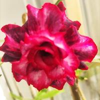 用户8579635326160头像