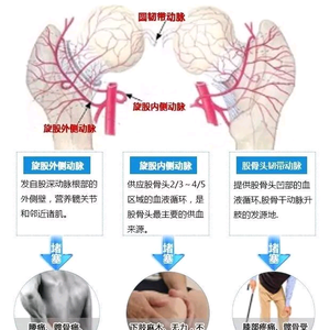 老宋谈骨筋头像