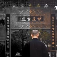 飞天小熊猫🐼头像