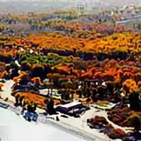 沙漠之舟54216916头像