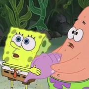 四只脚的Tomcat的个人资料头像