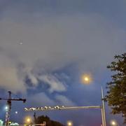 狐狸会翻跟头的个人资料头像