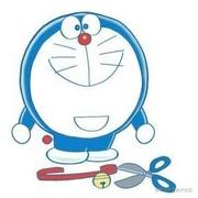 狸总的个人资料头像