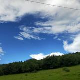 ℳ把酒问此生522头像