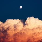 昂扬向上的个人资料头像