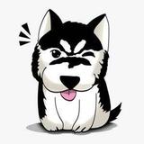 木林泉头像