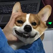 洛克克的个人资料头像