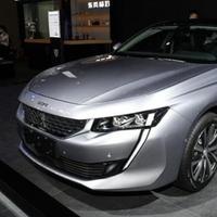 小狮子一路平安头像