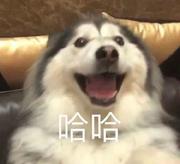 Life_若变的个人资料头像