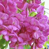 老唐的二手车头像