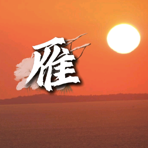 大雁小说头像