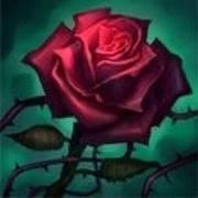 spring17的个人资料头像