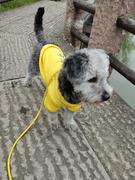 Theheroinmyheart的个人资料头像