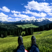 用户177972447471头像