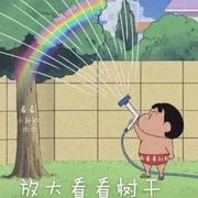 warder的个人资料头像