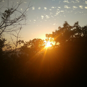 三生石三生的个人资料头像