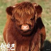 微笑下的个人资料头像