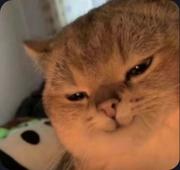 XQ_xlin的个人资料头像