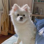 养乐多62的个人资料头像