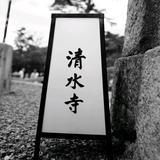 Bat虾头像