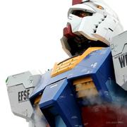 webopensecret的个人资料头像